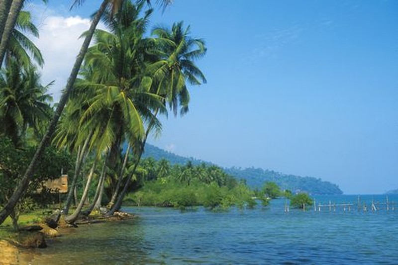 Thailand, Ko Mak, coastline with palm trees in the foreground. Credit    : David Henley/ Dorling Kindersley / Universal Images Group